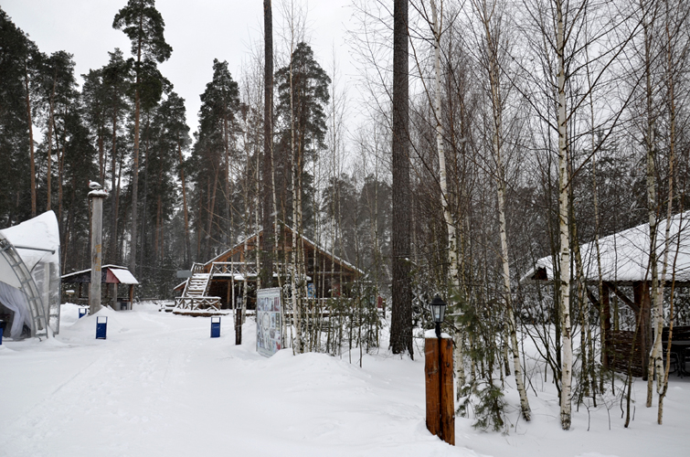 вертолет полетать брянск